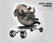 Black Electric 4 Wheel Skateboard Megnalium Alloy Two Brushless Motor 1000W